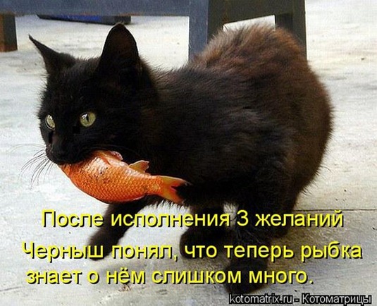 [clip_image011%255B3%255D.jpg]