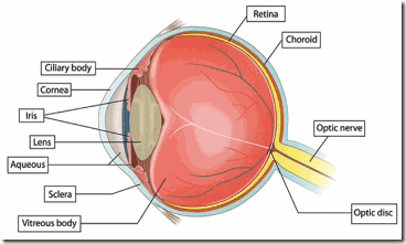 eye eye
