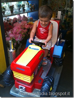 IMG_1082 IMG_1082