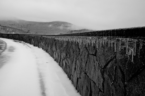 _MG_5257.jpg