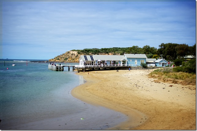 diver dan's boat house 