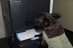 And I'll make sure it's loaded with paper.