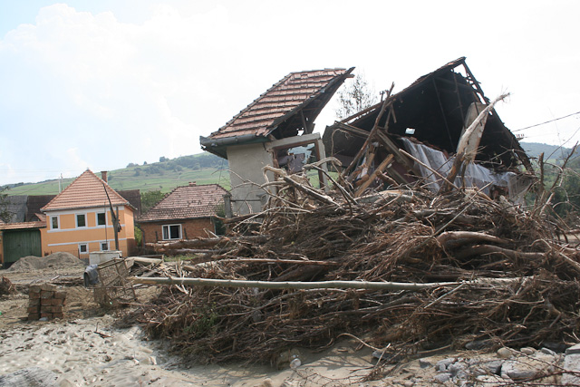 arviz2005_24.jpg