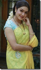 Telugu Actress Aditi Agarwal Hot in Saree Photos