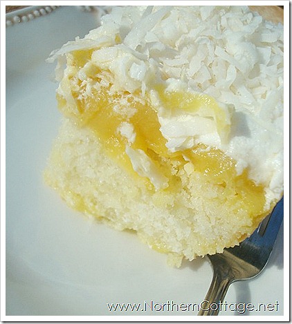 northerncottage tropical cake 