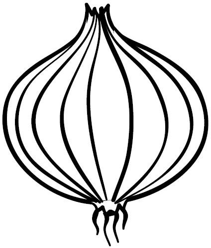 DESENHO CEBOLA PARA COLORIR – Colorir e Aprender