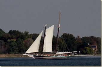 sandyIMG_1453 sandyIMG_1453