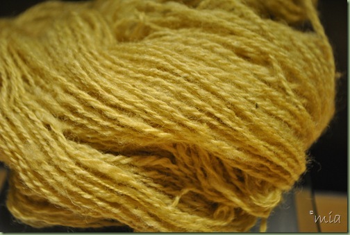 natural dye with Lawson Cypress