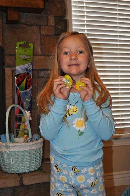DSC_2710 DSC_2710