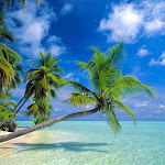www.FreeAmazingPictures.com-Playas-8.jpg www.FreeAmazingPictures.com-Playas-8.jpg