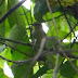 P1000707