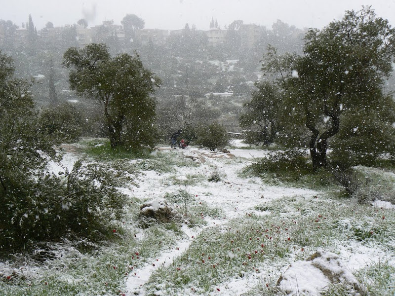 В Иерусалиме снег!!!!