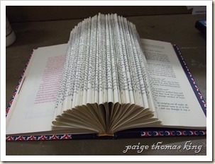 book art 007