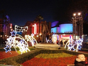 IMG_0782 IMG_0782