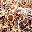 Winteranfang Winteranfang
