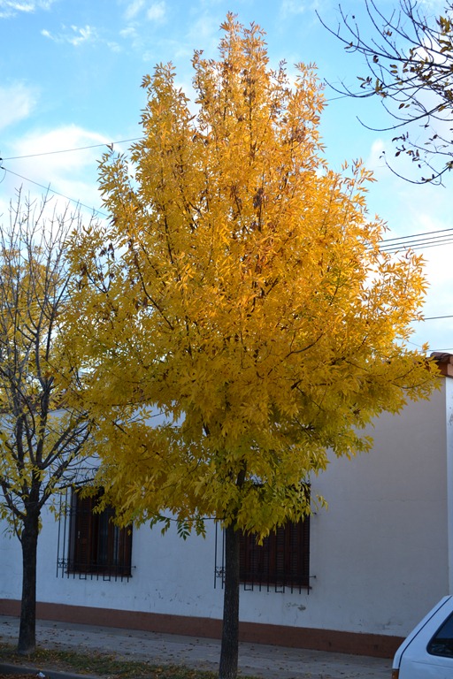 [DSC_3407%255B4%255D.jpg]