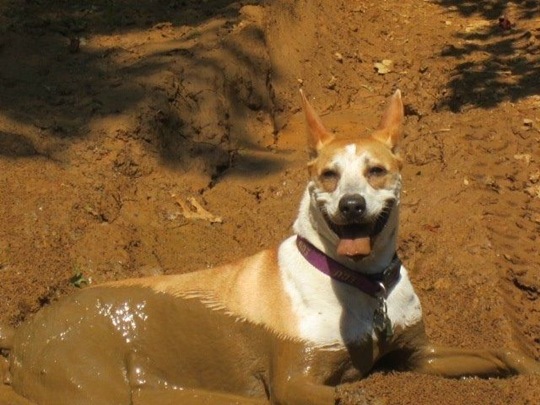 [funny-animals-cute-42%255B2%255D.jpg]