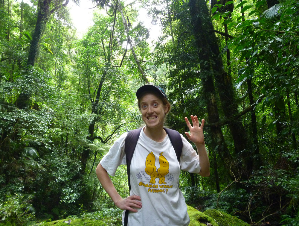 Bronwen, Toolona Creek and Mount Wanungra, O’Reilly’s