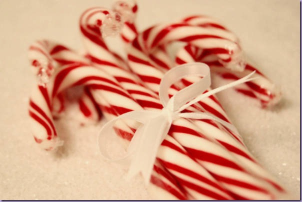 Candy-Canes