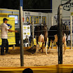 superleite2011_dia1507_206.JPG