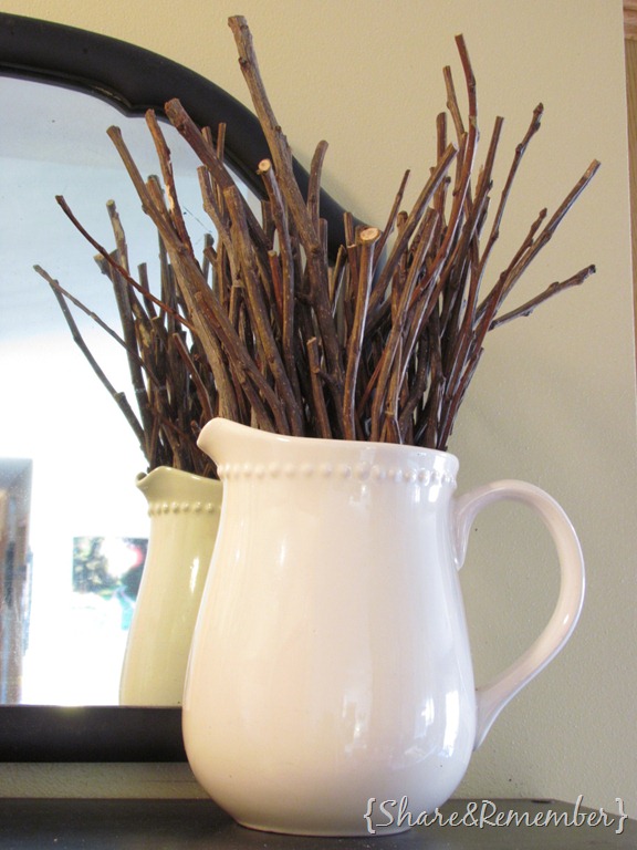 [pitcher13.jpg]