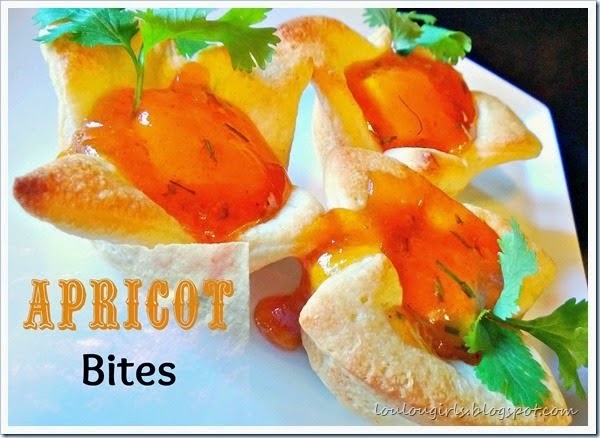 [Apricot-Cream-Cheese-Bites-Appetizer-For-Thanksgiving%255B4%255D.jpg]