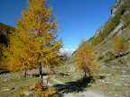 P1000693.JPG