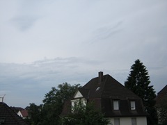 IMG_0316