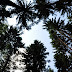 2011.09.11. - Trdinov vrh