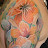 blumen IN PROGRESS