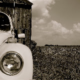 "Classic Beauty for Sale" - copyright Trasi Kromer