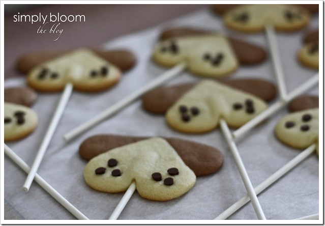 puppy pops (4 of 1)