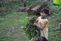 pinoyecofarm november_0036.JPG