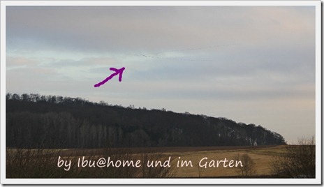 IMG_0263 IMG_0263