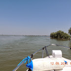 1515 - Lacul Uzlina, intrare, cu salciile pe dreapta - DSCN0204.jpg
