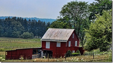 redbarn redbarn