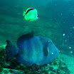 P6240010.JPG