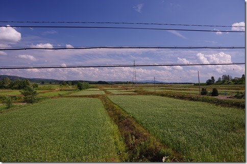 IMGP5946 IMGP5946