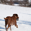 _MG_9524.jpg