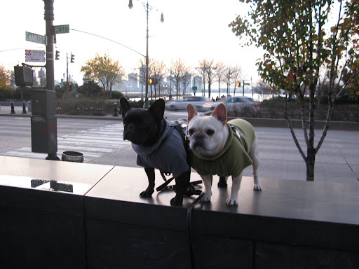 See that water behind us?  That's the mighty Hudson River right nearby.