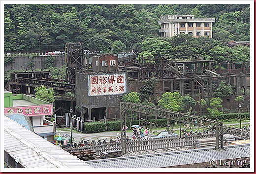IMG_6135 IMG_6135