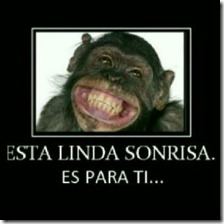 humor compartir (30)
