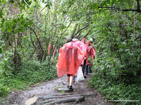 Cumbre_ciudades_cambioclimatico-24.jpg