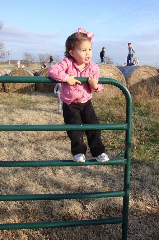 [DSC02346%255B4%255D.jpg]