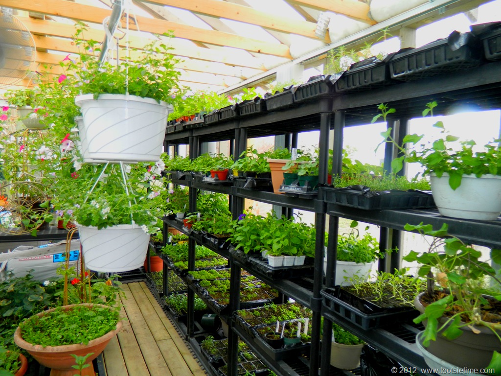 [DSCN3223%255B10%255D.jpg]