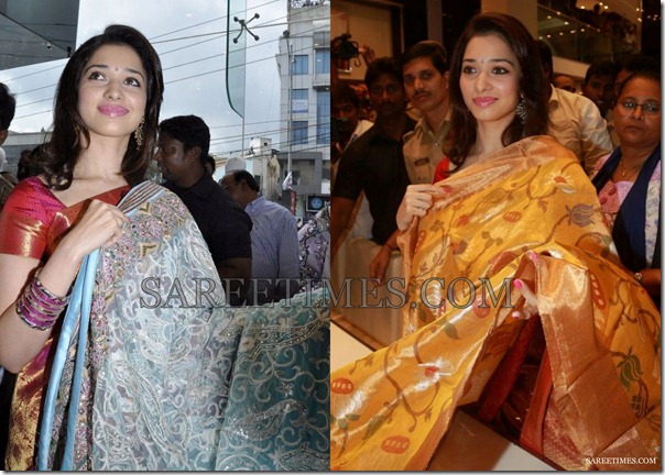 Pythani_Silk_Sarees(1)