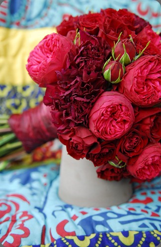 carnations and garden roses the daily petal carnations and garden roses the daily petal