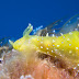 P7285788