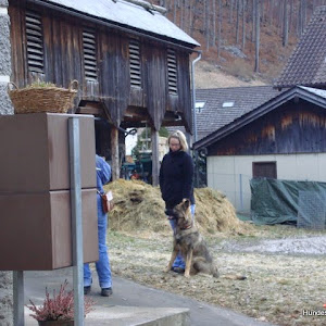 Hundehalterbrevet, Isenthal 19.Feb.2011