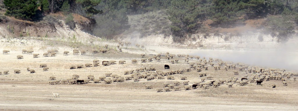 [Moving-inland-crystalharling5.jpg]